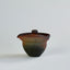 Hoshino shiboridashi no.3