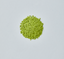 Yuta Hiraoka Introduces Two New Tea Concept