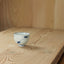 Momiji sencha cup